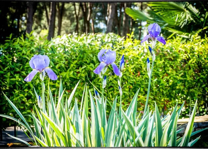 Parenzo 150mt Dal Mare 8min Piedi Dal Centro 빌라 포레치